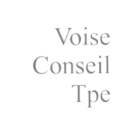 Voise Conseil TPE Logo